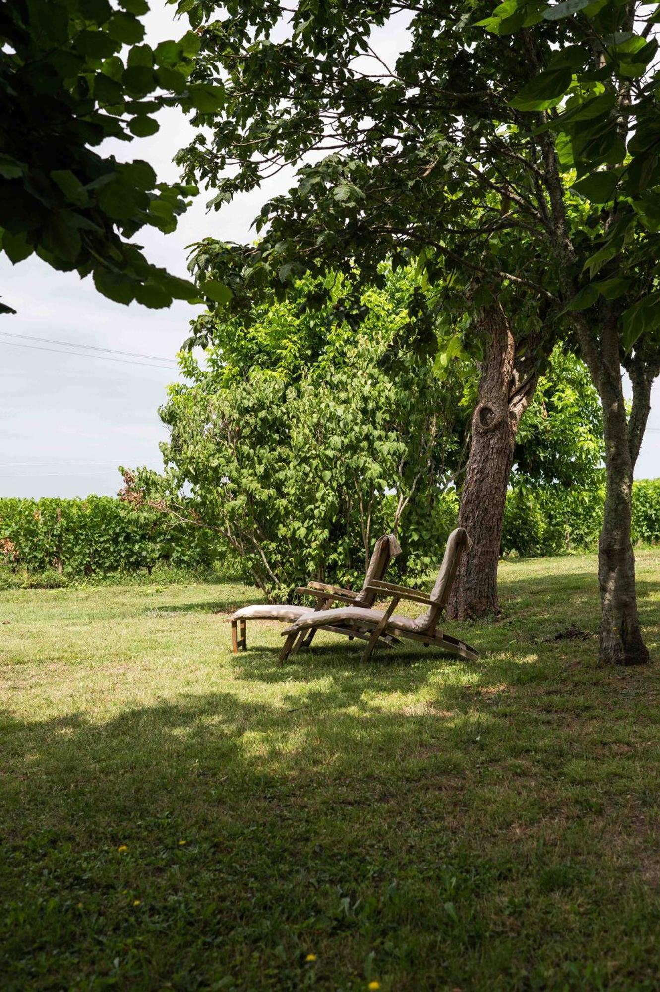 Clos De La Barbanne Montagne  Eksteriør billede
